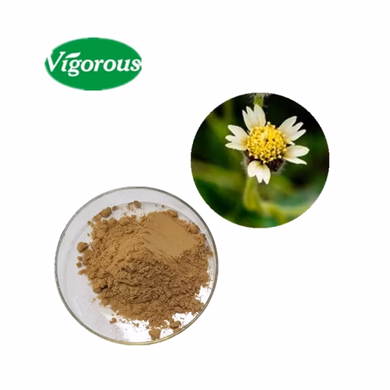 Brewer Yeast Extract Nutritional Yeast Powder Dry Yeast Powder at Good Price