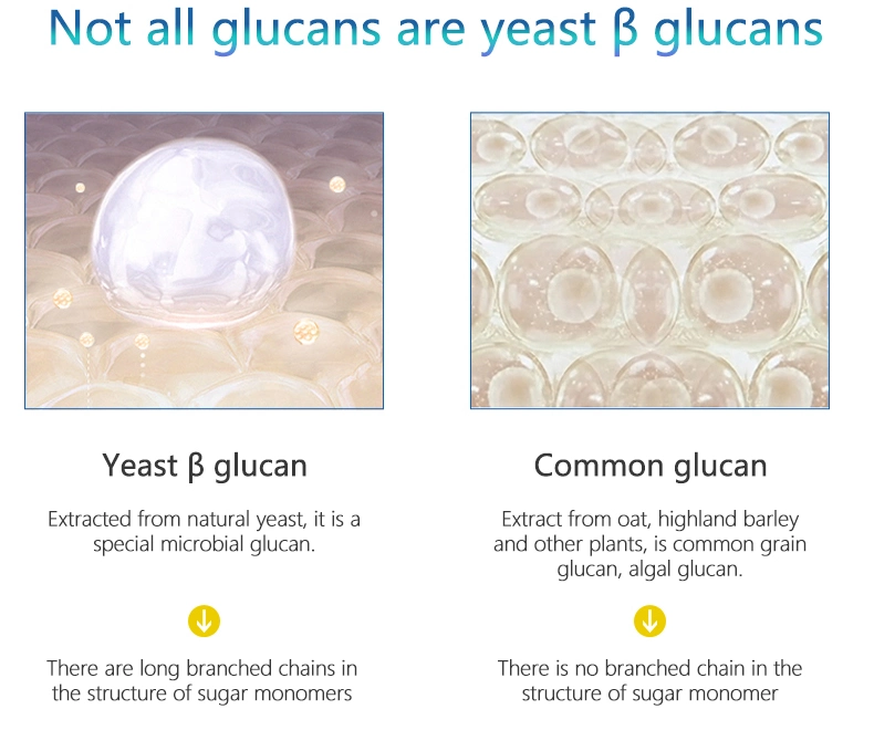 Yeast Extract CAS 9012 72 0 90% Yeast Beta Glucan Powder