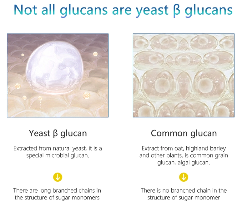 Nutrient Supplements Food Additives 1 3 1 6 Beta Glucan