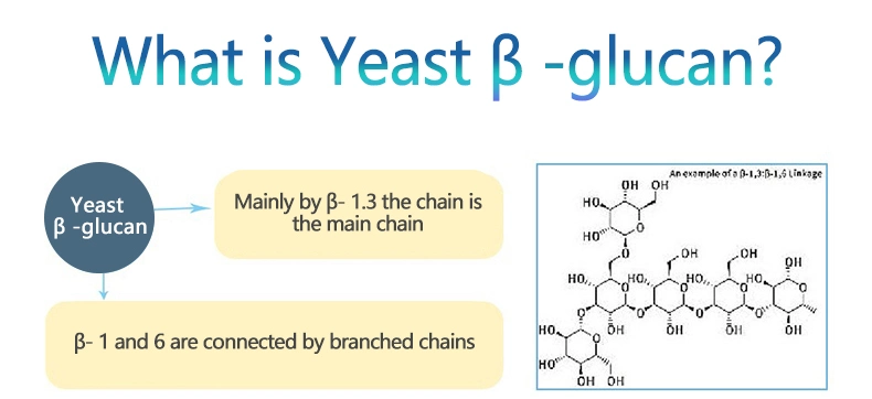 Yeast Extract CAS 9012 72 0 90% Yeast Beta Glucan Powder